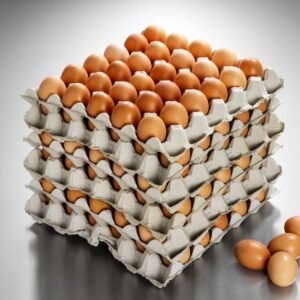 Wholesale Brown Eggs