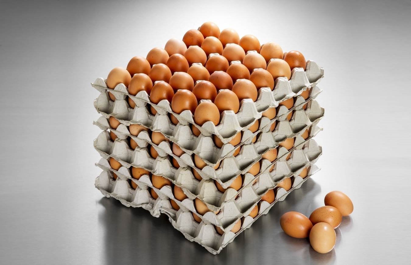 Wholesale Brown Eggs